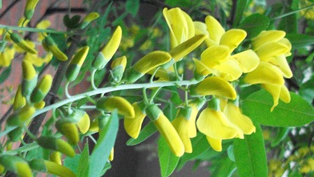 DSCF0213 DSCF0213