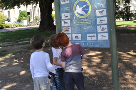 image image