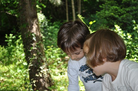DSC_0542 DSC_0542