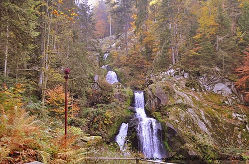Cascate di tribergDSC_0484 Cascate di tribergDSC_0484