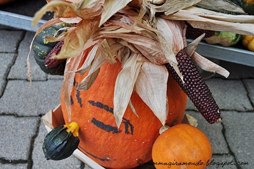 DSC_0769 DSC_0769