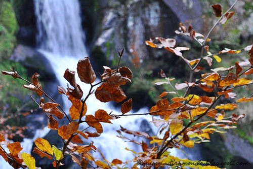 Cascate DSC_0491