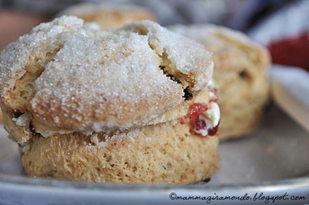 sconesDSC_0235 sconesDSC_0235