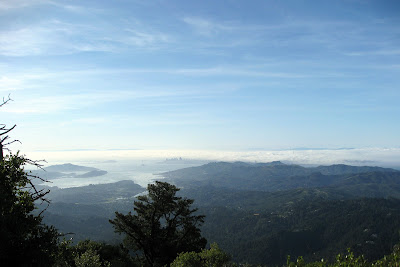 The view. See those buildings? Thats San Fran.