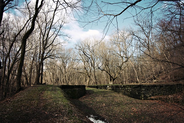 [DSC_0735 copy 2[4].jpg]