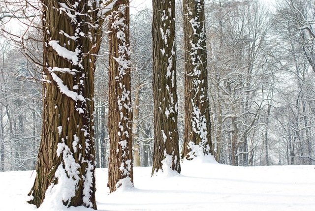 [DSC_0078 copy 2[4].jpg]