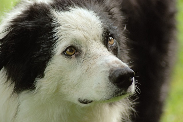 [DSC_0818 copy 2[4].jpg]