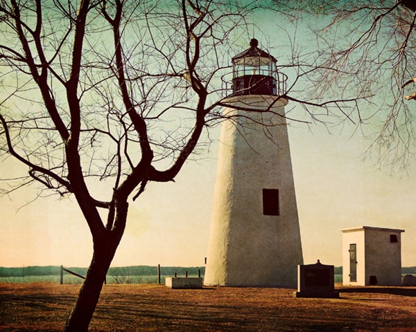 [DSC_0012 copy3[6].jpg]