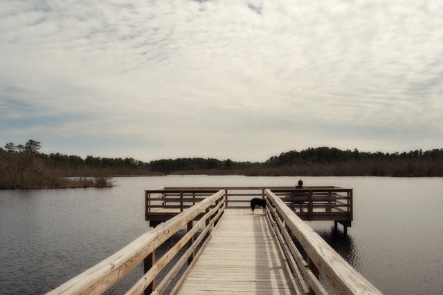 [DSC_0178 copy 2[4].jpg]