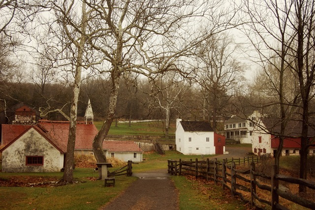 [DSC_0916 copy 4[13].jpg]