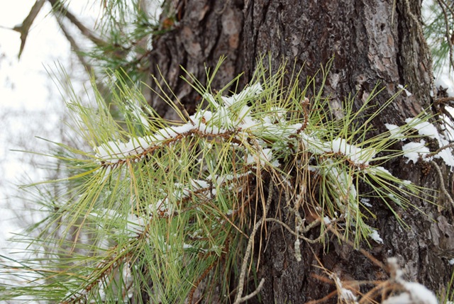 [DSC_0006 copy 2[4].jpg]