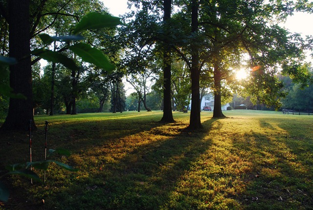 [DSC_0796 copy 2[5].jpg]