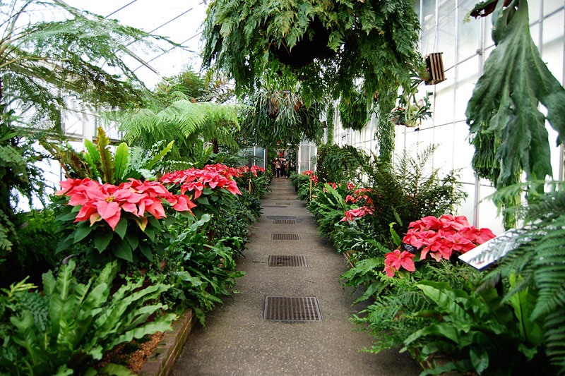 [DSC_0105 copy 2[5].jpg]