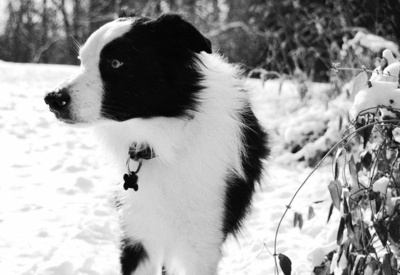 DSC_0462 copy 2 KK KPZ Grainy Film DSC_0462 copy 2 KK KPZ Grainy Film
