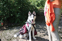 IMG_1856.JPG (Carp Lake Landing, Michigan, United States) Photo