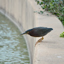 Unnamed spotting