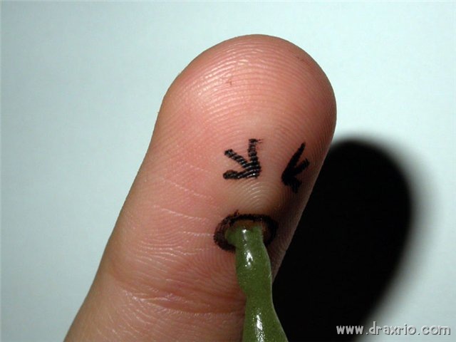 [crazy_fingers_19[10].jpg]