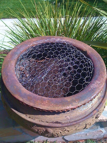 [containergarden0063.jpg]