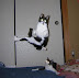 Electric cats - This is one of the best pet pics I've ever seen!