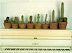 Green schlongs - This is how you make piano lessons more exciting.