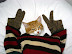 Yo, wazaa - Cat with attitude.