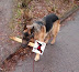 New order - No dogs allowed? Yeah - right.