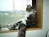 Chillout - Just take it easy and don't worry about anything.