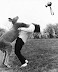 Damn paparazzi - Leave the kangaroo alone!