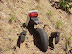 R.I.P - Motorbike accidents happen all the time.