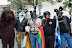 Gay pride - I think they should leave the poor animals alone.
