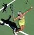 Cat tennis - Don't worry: it's photoshopped.