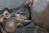 Ass licker - Absolutely ass-tastic!