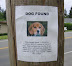 Dog found - Tasted like chicken.