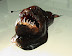 Nature is evil - This deep sea fish is called Seadevil and lives 700 - 3000 m below sea level.