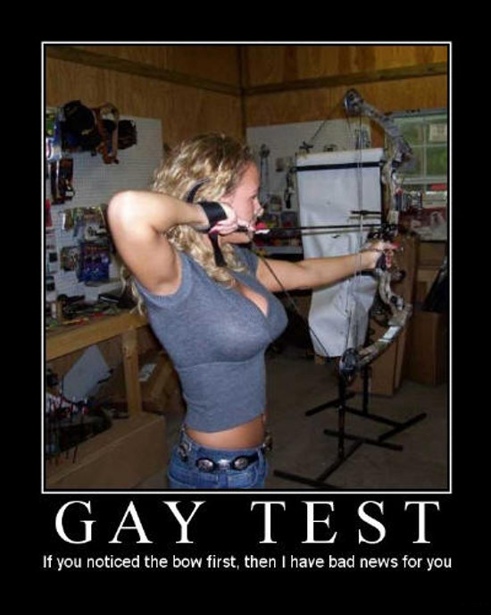 Gay test - Did you notice the bow first?