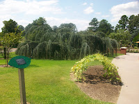Memphis Botanic Garden Things to Do Memphis TN