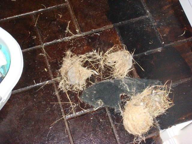 Lint Vent Blockage