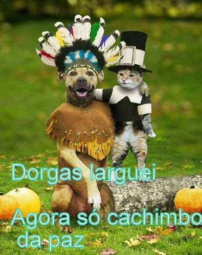 http://lh6.ggpht.com/_BGyBBDc1EMA/S6gCxFTxauI/AAAAAAAAAD8/LYax0pPobYI/image010.jpg