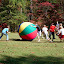 SDC10437.JPG