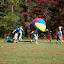 SDC10441.JPG