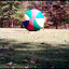 VID 00010-20091024-1317.3GP