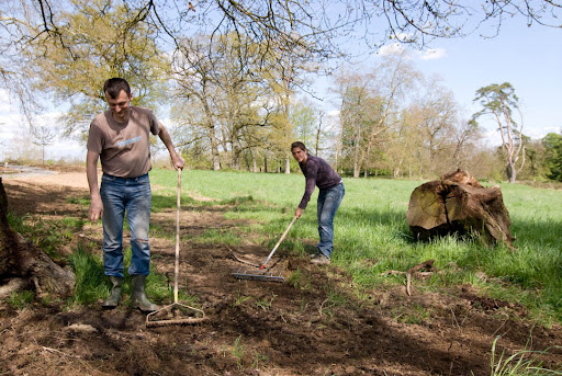 Adrian and Rahel sowing new grass