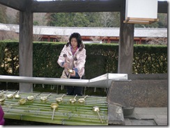 DSCN5730 DSCN5730
