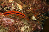 IMG_5562.JPG