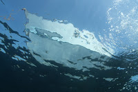 IMG_3853.JPG