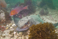 anacapaJuly2010-10.jpg