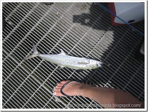 IMG_0015 IMG_0015
