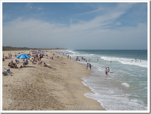 IMG_0022 IMG_0022