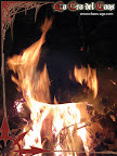 [Sesión Fotográfica al Bosc dels Somnis]