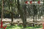 [09/04/05] 1a Ronda